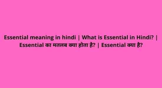Essential meaning in hindi 