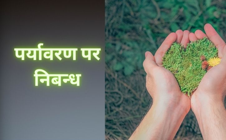 Environment essay in Hindi