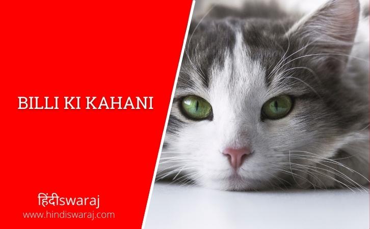 billi ki kahani | Best Cat Stories In Hindi | बिल्ली की कहानियाँ