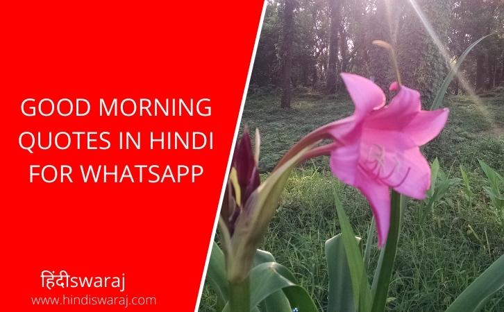 good-morning-quotes-in-hindi-quotes-in-hindi