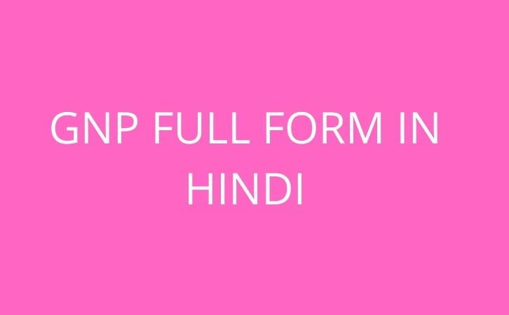 GNP full form in hindi