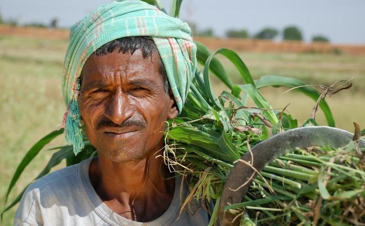 Indian Farmer Essay in Hindi